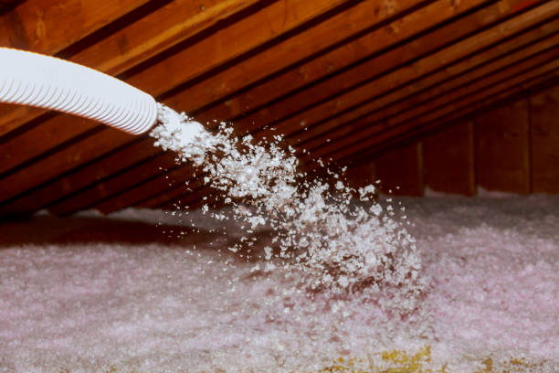 Best Spray Foam Insulation in Archer Lodge, NC