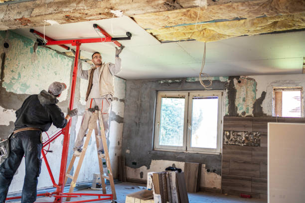 Best Eco-Friendly Insulation in Archer Lodge, NC